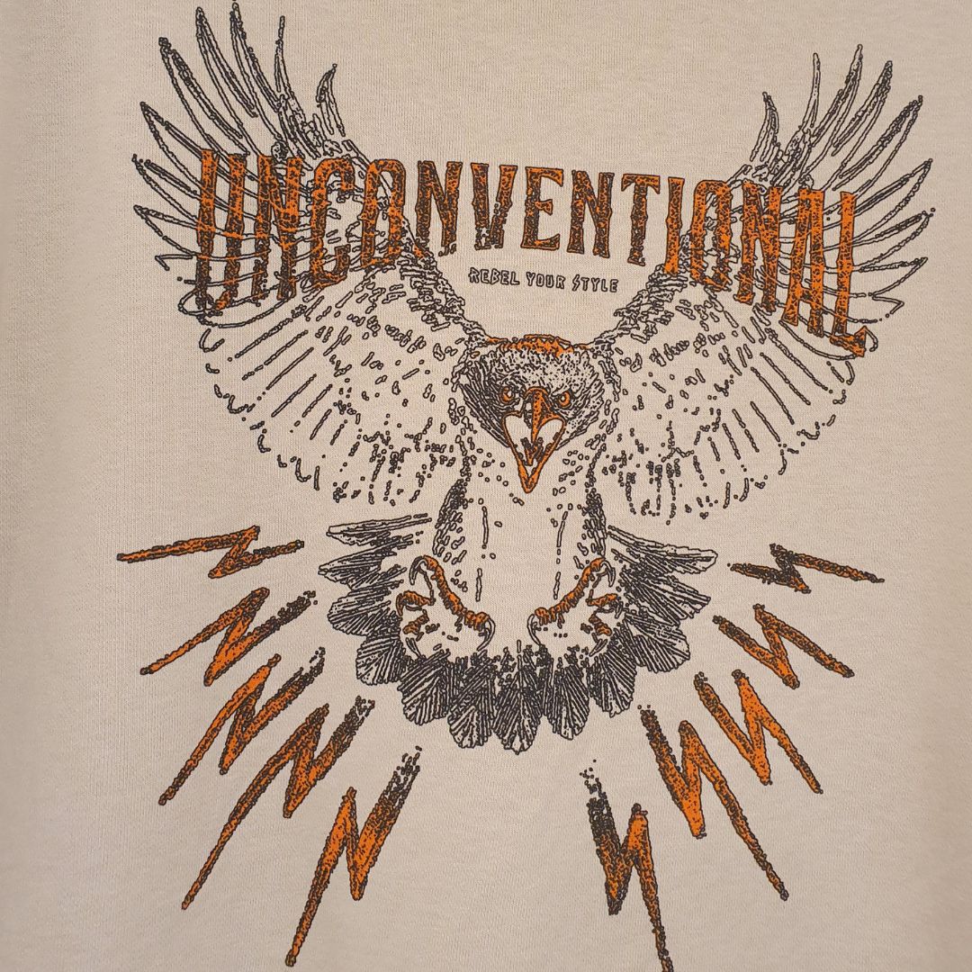 Felpa stampata in cotone garzato HaveOne